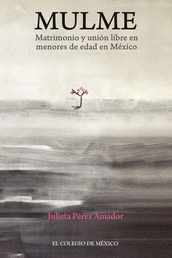 Mulme.: Matrimonio y unión libre en menores de edad en México