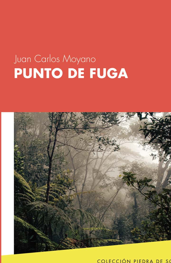 Punto de fuga