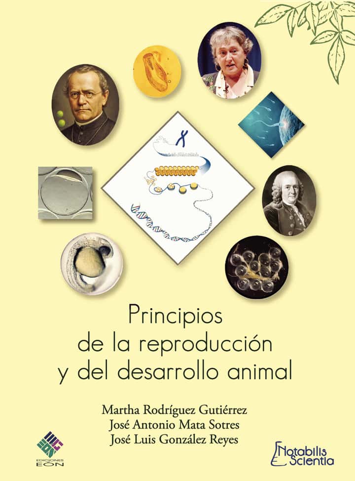 Principios de la reproducción del desarrollo animal