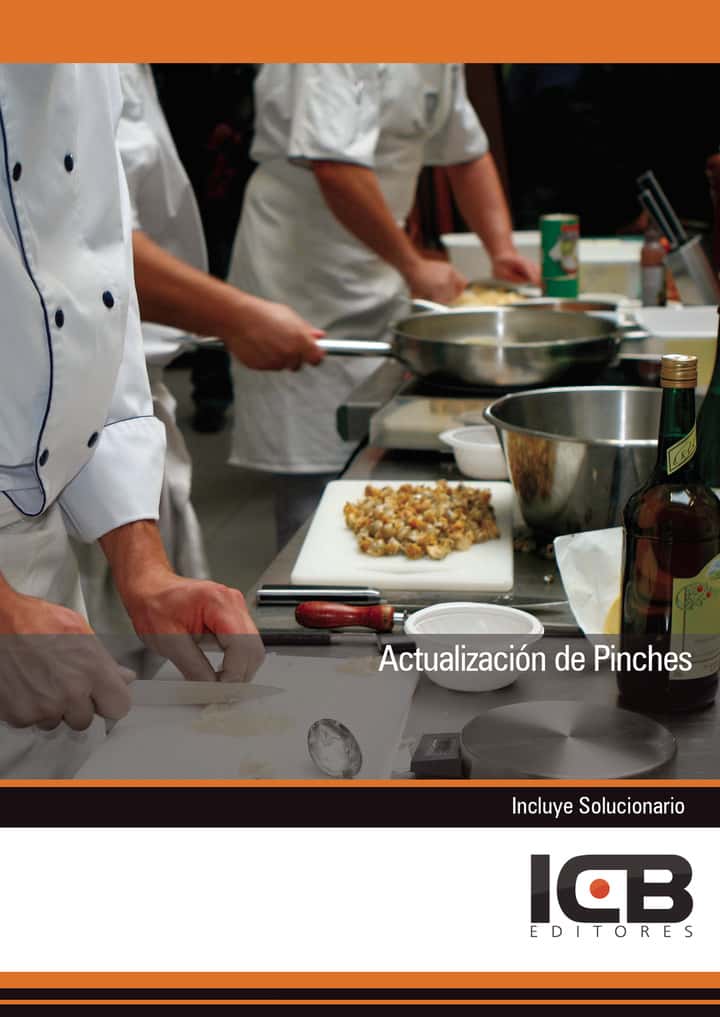 Actualización de Pinches