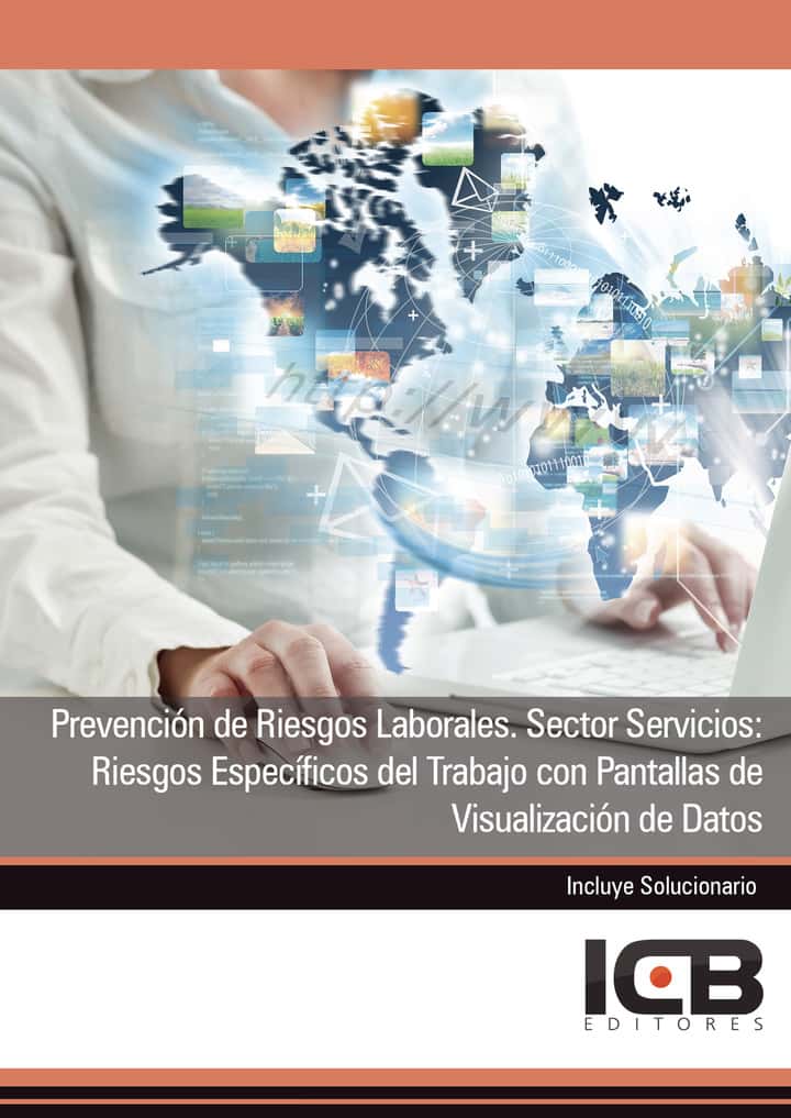 Prevención de Riesgos Laborales. Sector Servicios: Riesgos Específicos del Trabajo con Pantallas de Visualización de Datos
