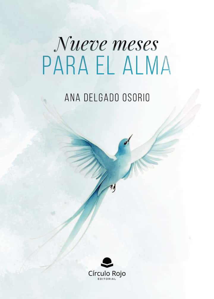 Nueve meses para el alma