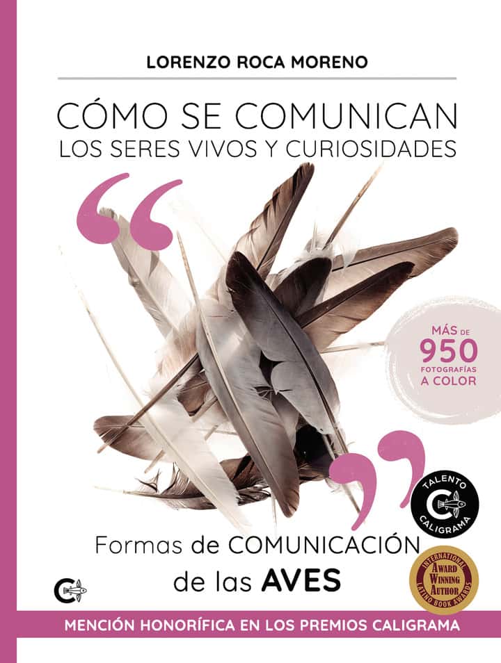 Formas de comunicación de las aves: Cómo se comunican los seres vivos y curiosidades