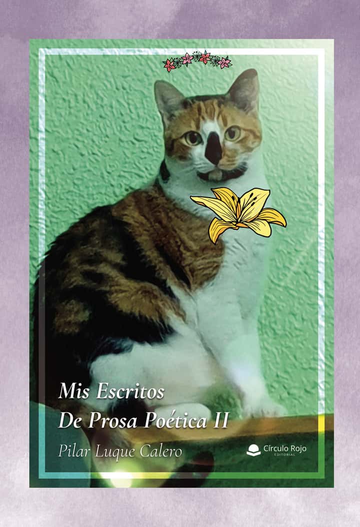 Mis Escritos De Prosa Poética II