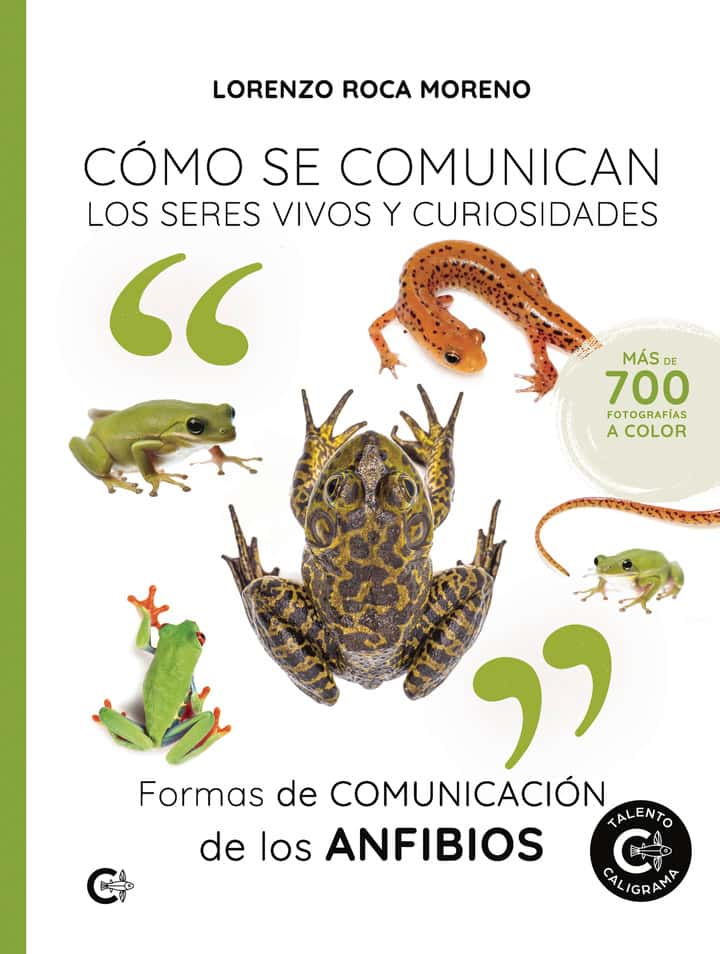 Formas de comunicación de los anfibios: Cómo se comunican los seres vivos y curiosidades