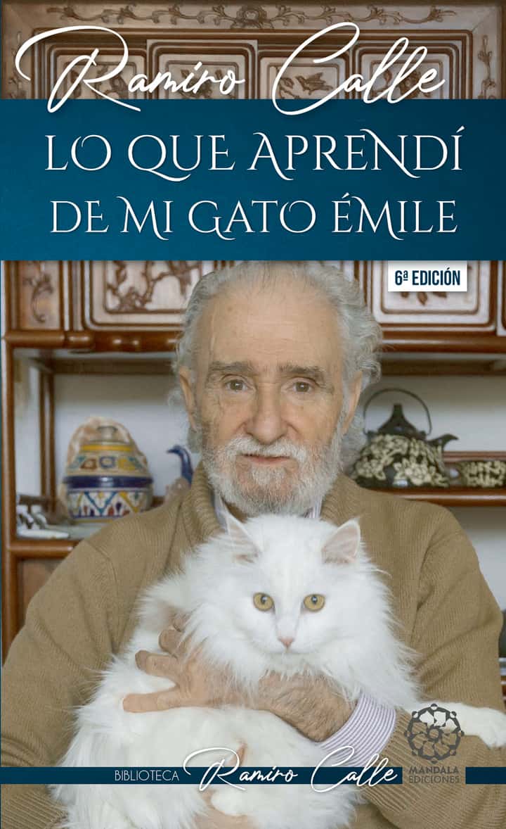 Lo que aprendí de mi gato Émile