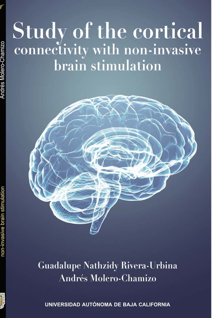 Study of the cortical connectivity with non-invasive brain stimulation