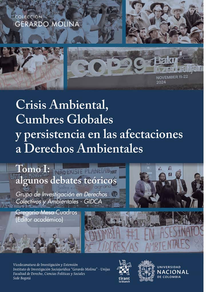 Crisis Ambiental, Cumbres Globales y persistencia en las afectaciones a Derechos Ambientales: Tomo 2: Algunos estudios de caso