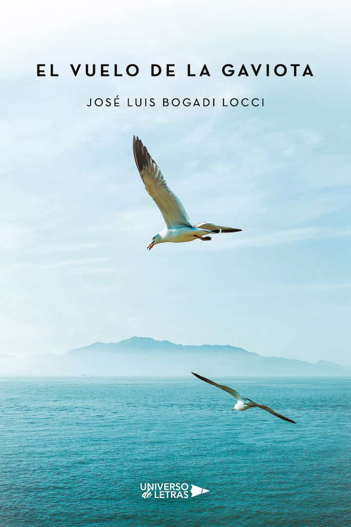El vuelo de la gaviota