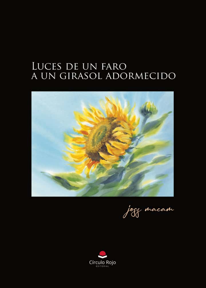 Luces de un faro a un girasol adormecido