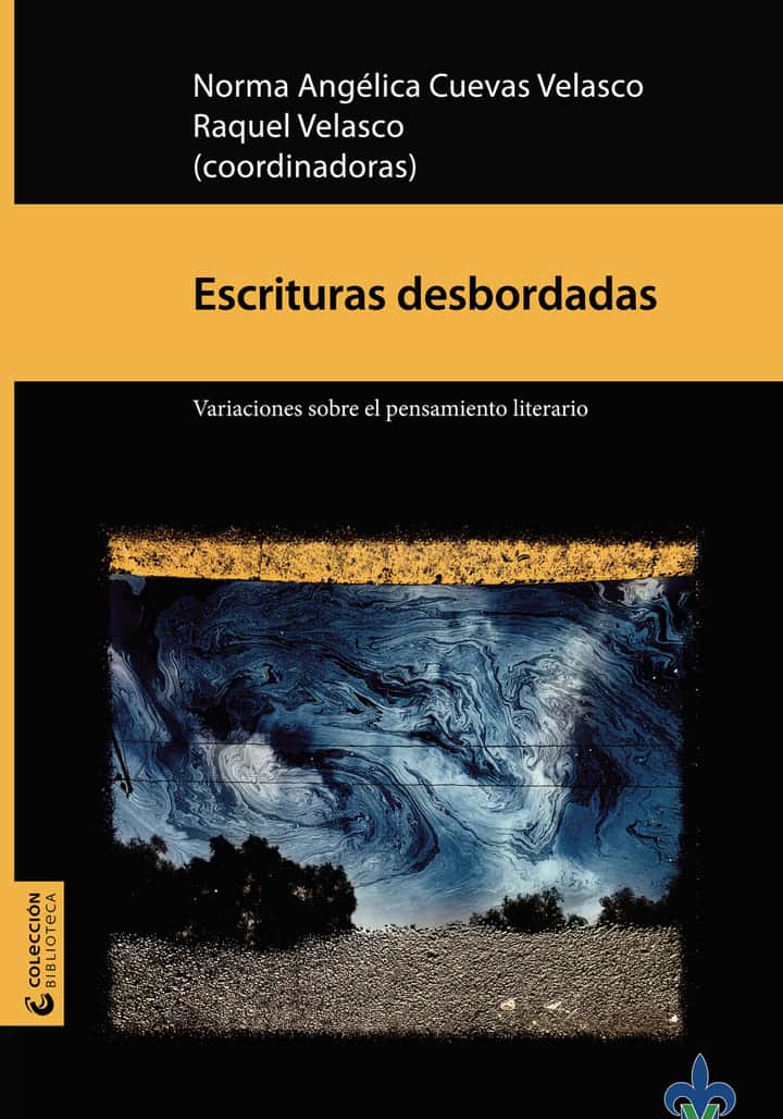 Escrituras desbordadas : variaciones sobre el pensamiento literario