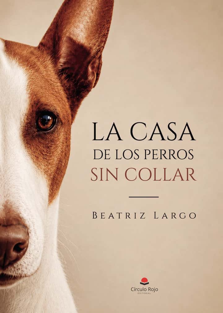 LA CASA DE LOS PERROS SIN COLLAR