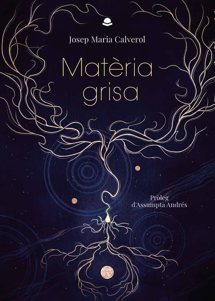 Matèria grisa