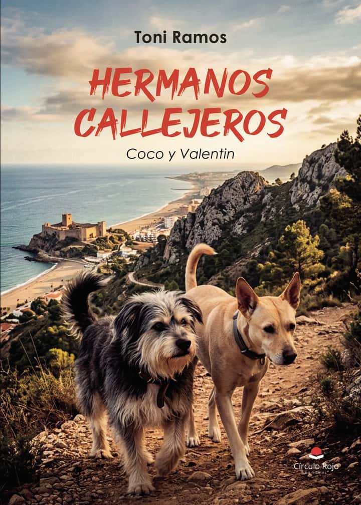 Hermanos callejeros