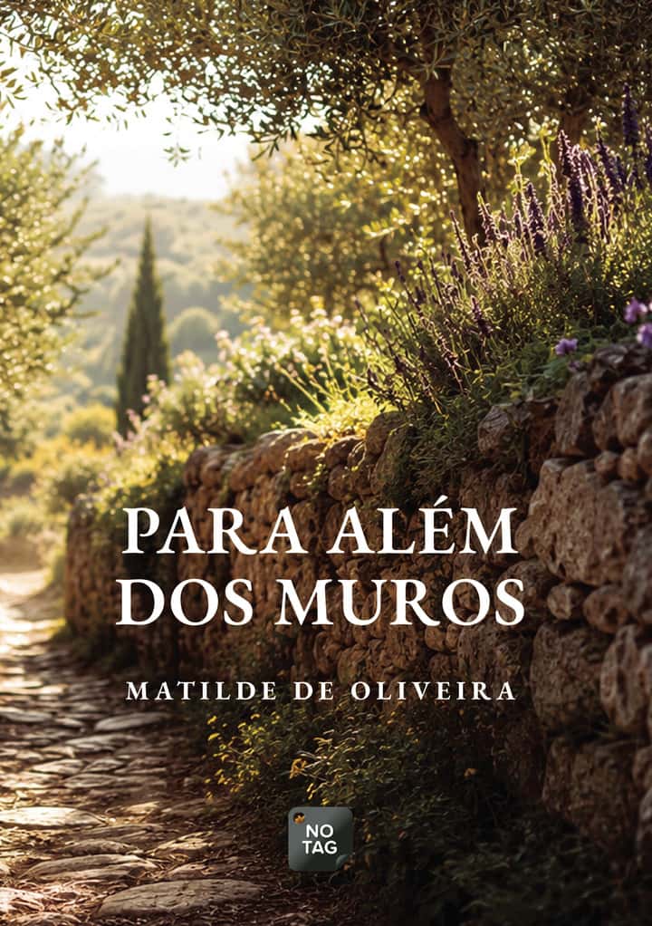 Para além dos  muros