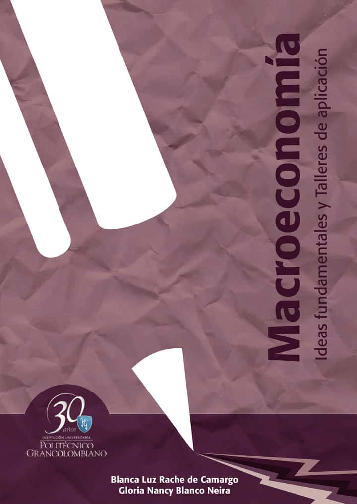Macroeconomía. Ideas fundamentales y talleres de aplicación