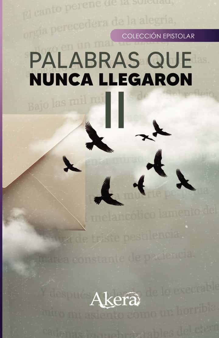 Palabras que nunca llegaron II