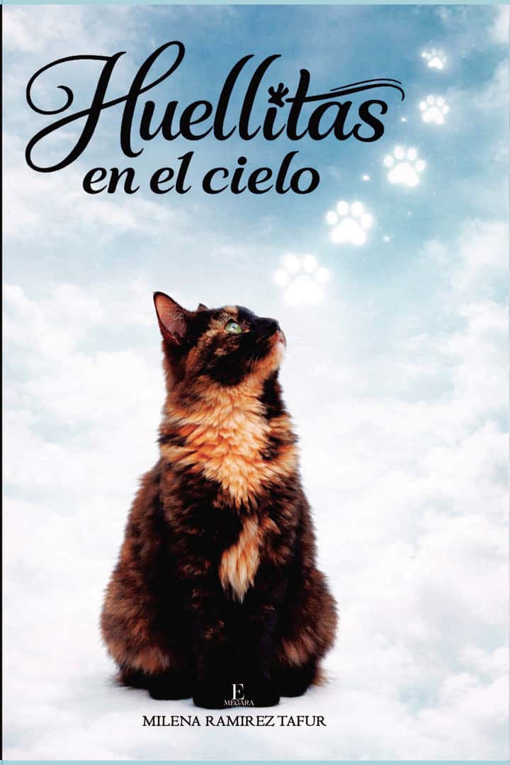 Huellitas en el cielo