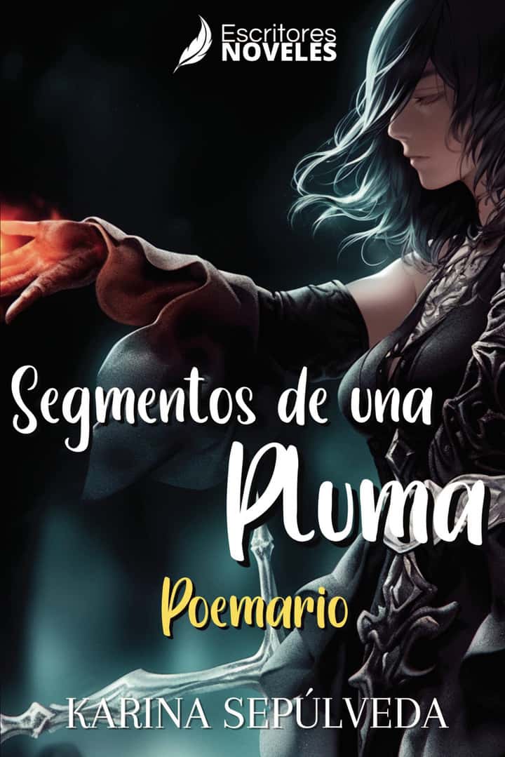 Segmentos de una pluma