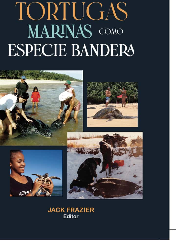 Tortugas marinas como especie Bandera
