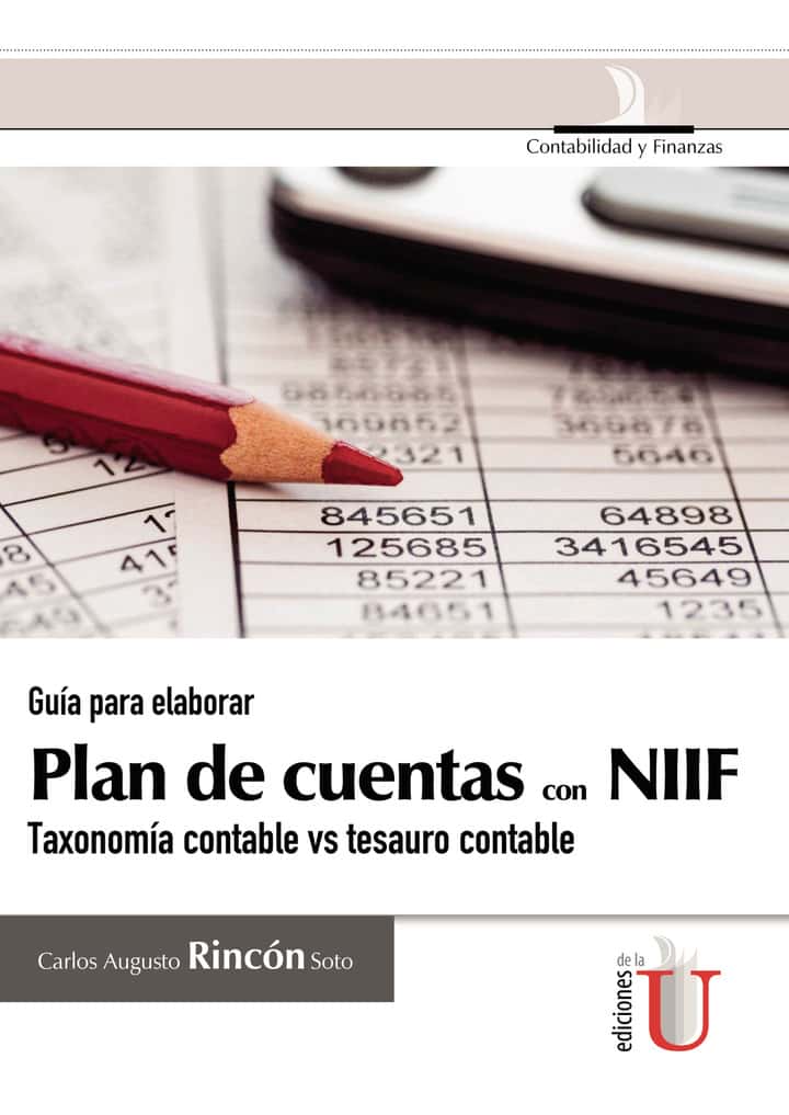 Guía para elaborar Plan de cuentas con NIIF, taxonomía contable vs tesauro contable