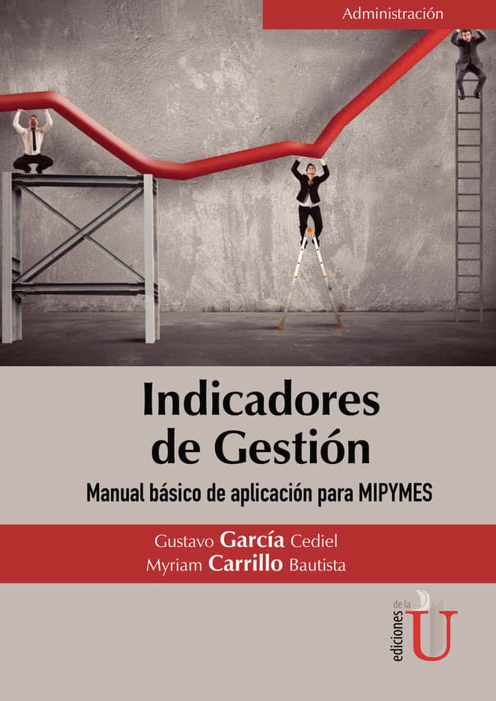 Indicadores de gestión. Manual Básico de aplicación para MIPYMES