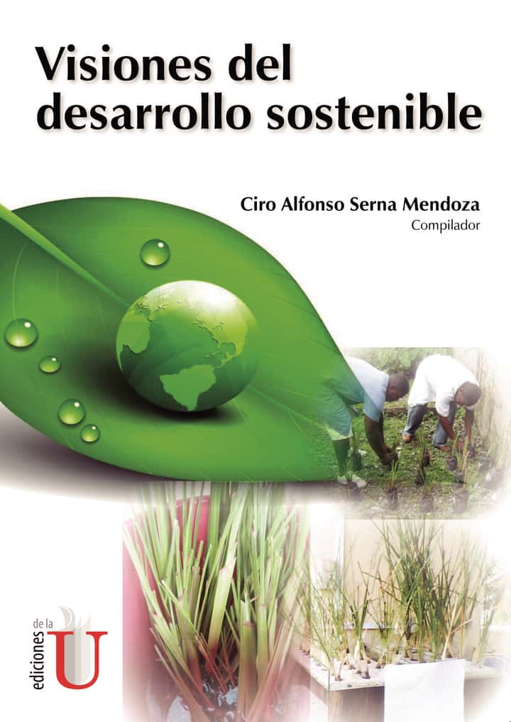 Visiones del desarrollo sostenible