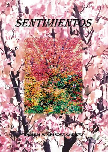 Sentimientos.