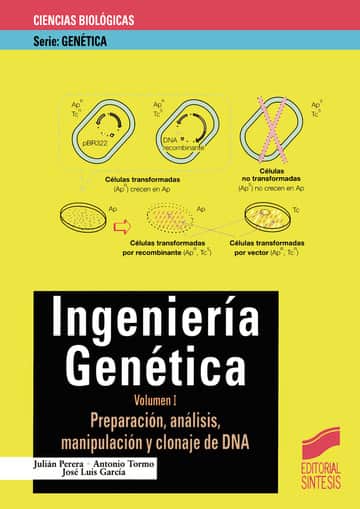 Ingeniería genética. Vol. I: Preparación, análisis, manipulación y clonaje de DNA