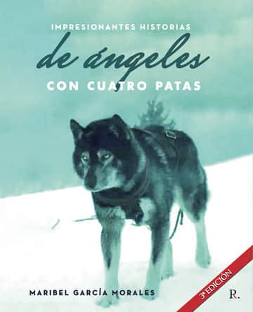 Impresionantes Historias  Reales de Ángeles con Cuatro Patas