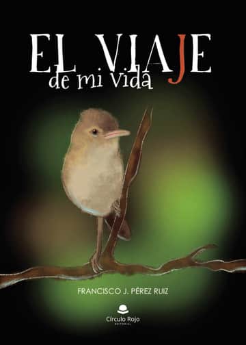 El viaje de mi vida