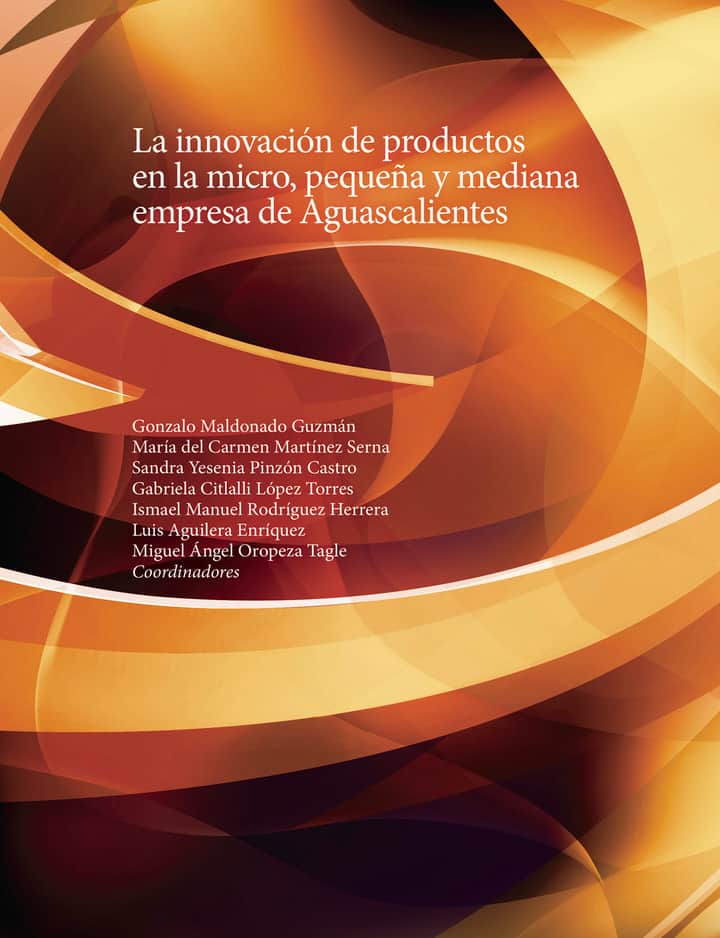 La innovación de productos en la micro, pequeña y mediana empresa de Aguascalientes