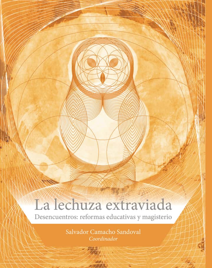 La lechuza extraviada