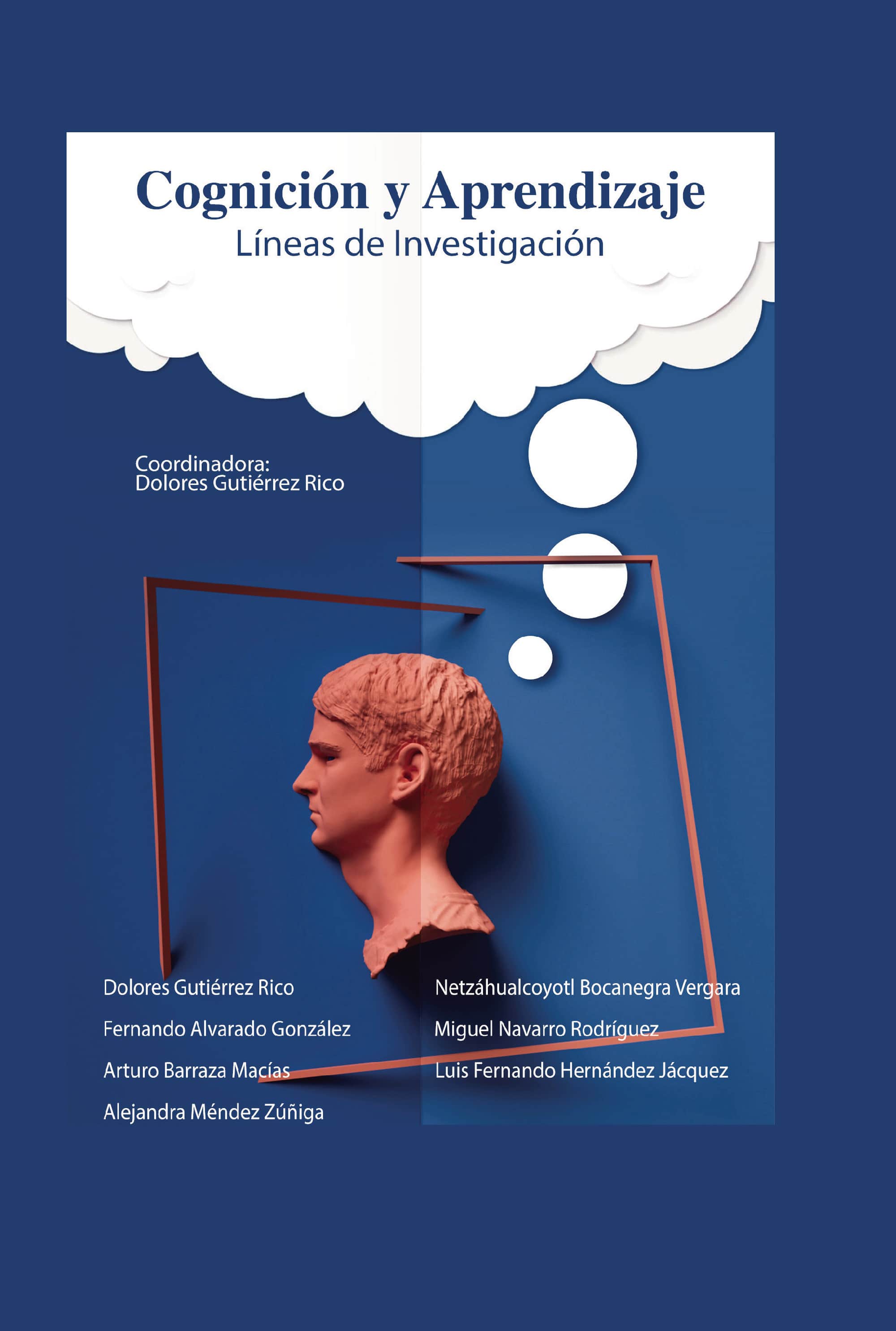 Cognición y aprendizaje: Lineas de investigacion