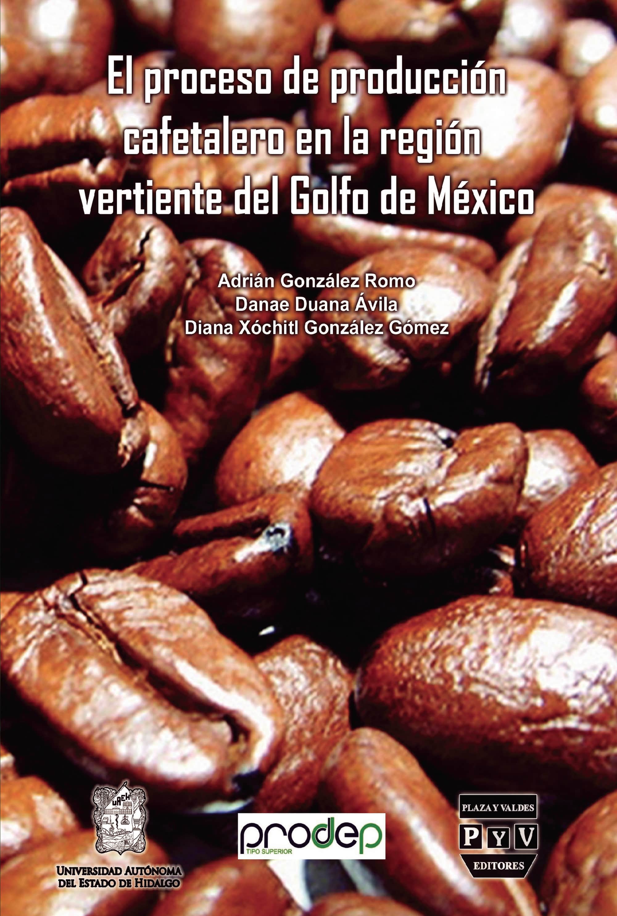 El proceso de producción cafetalero en la región vertiente del golfo de Mexico