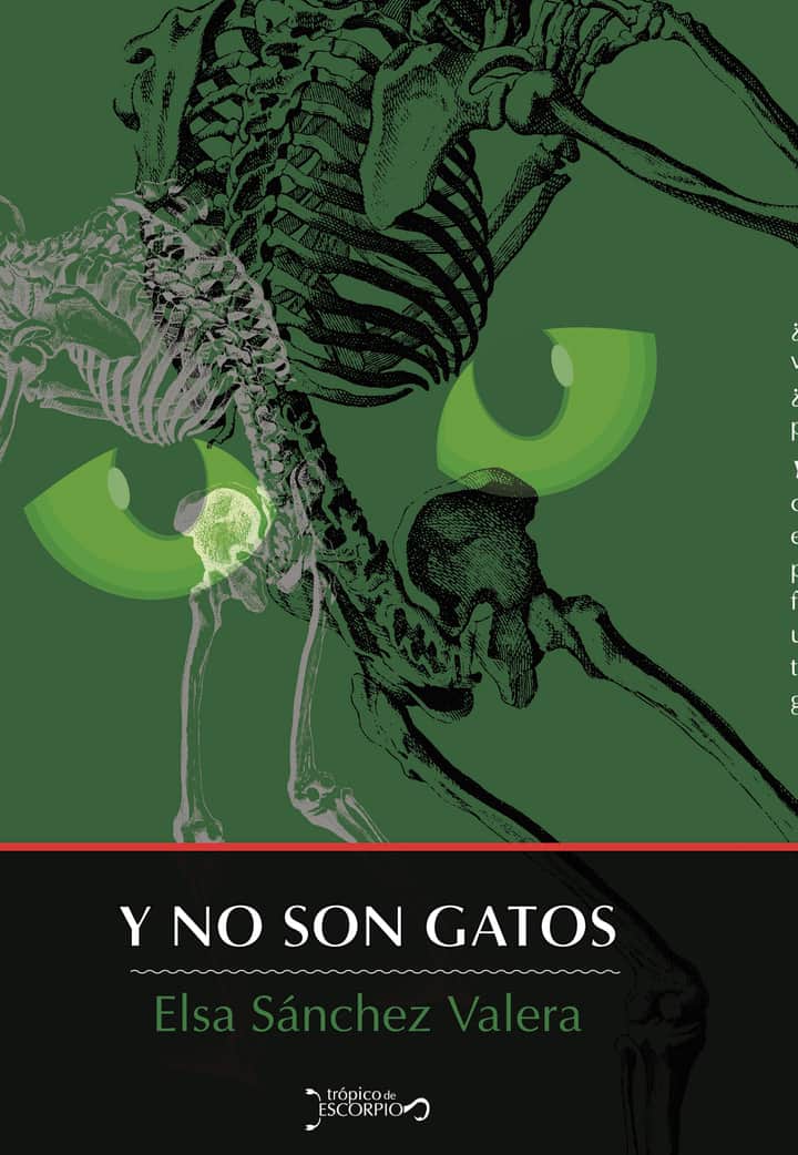 Y no son gatos