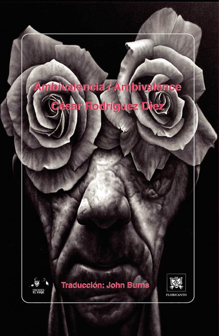 Ambivalencia/ Ambivalence