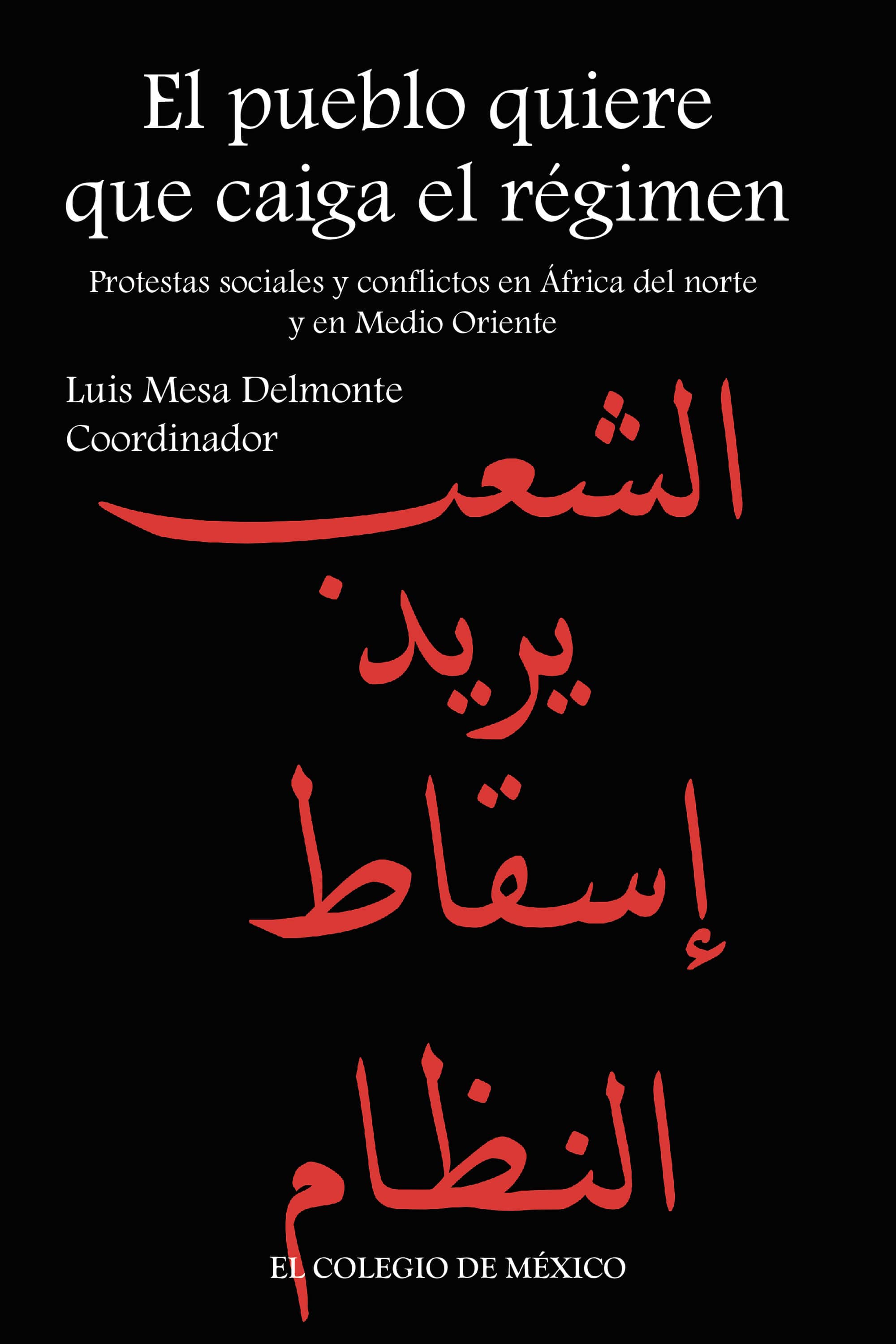 El pueblo quiere que caiga el régimen.: Protestas sociales y conflictos en África del Norte y en Medio Oriente