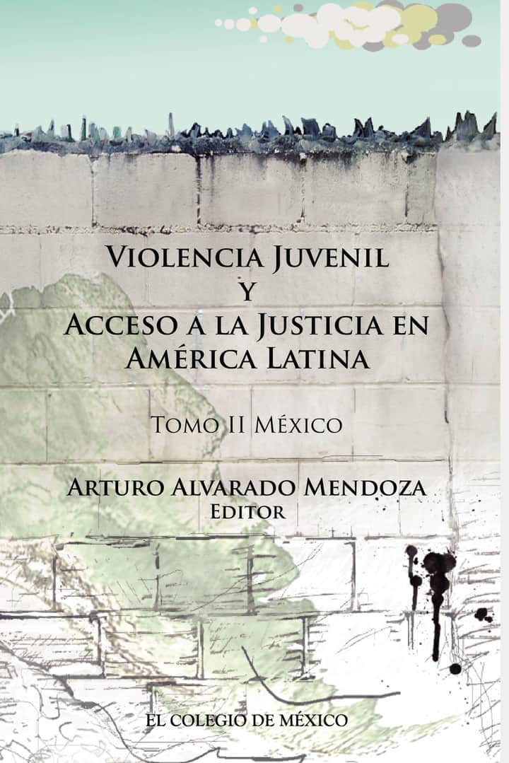 Violencia juvenil y acceso a la justicia.: Tomo II. México