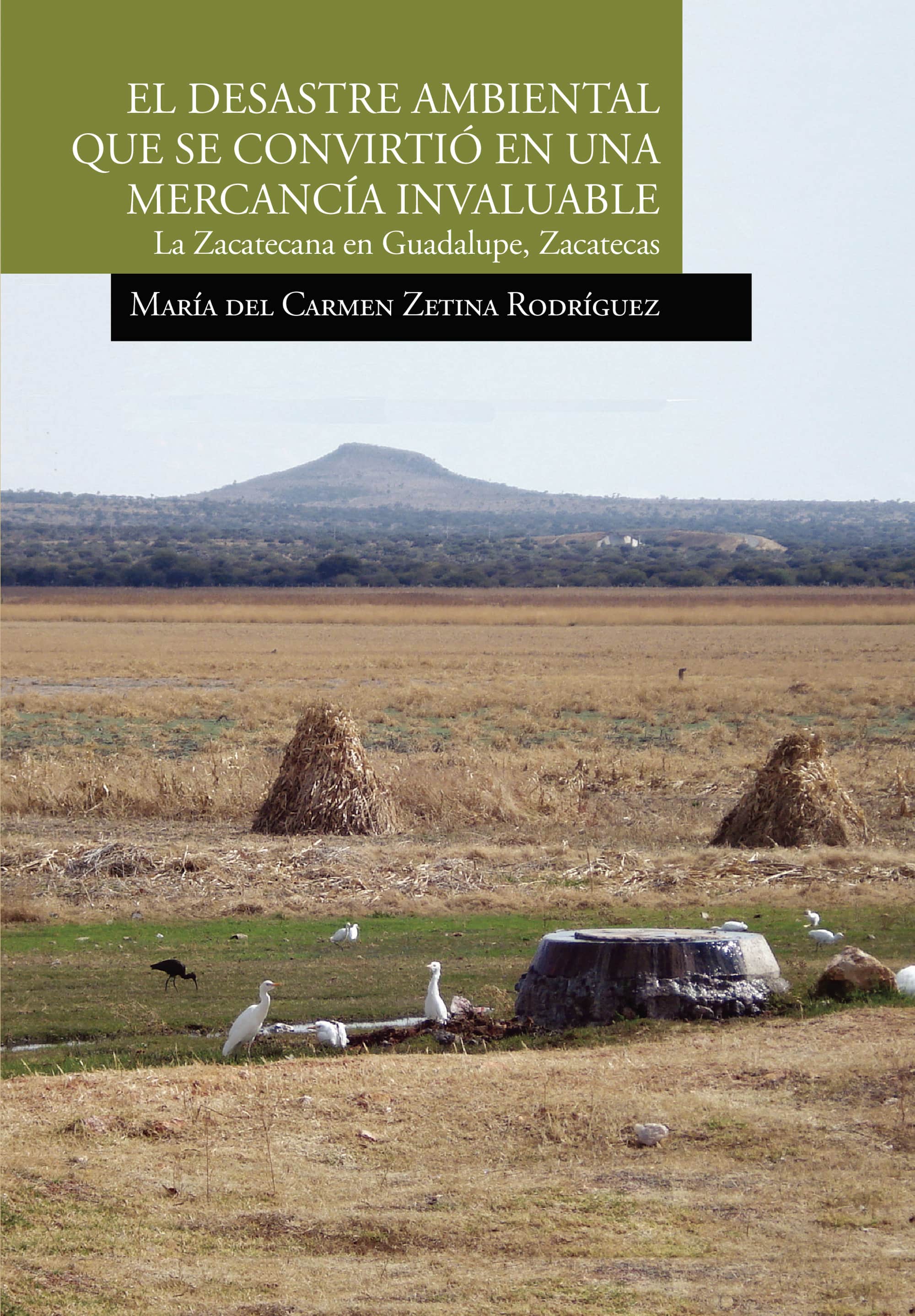 El desastre ambiental que se convirtió en una mercancía invaluable. La Zacatecana en Guadalupe, Zacatecas
