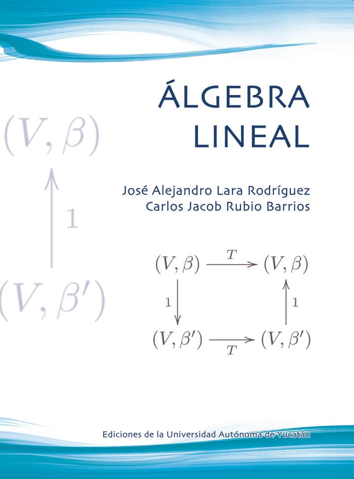 Álgebra lineal
