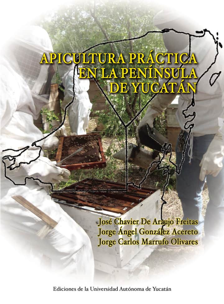 Apicultura práctica en la península de Yucatán