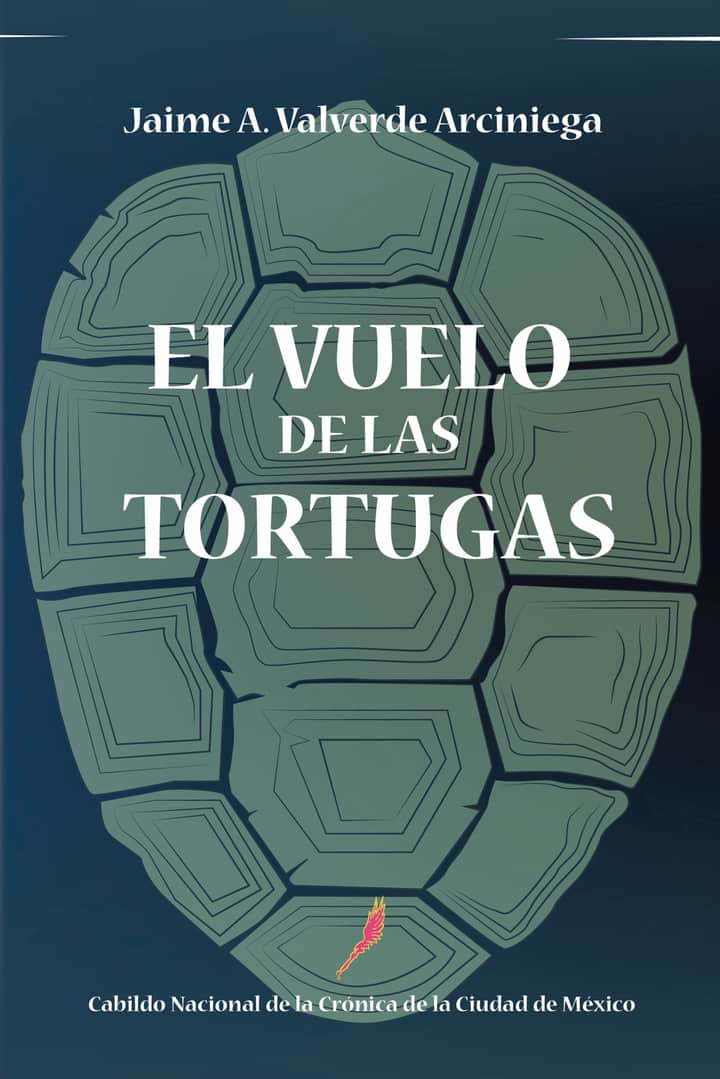 El vuelo de las tortugas