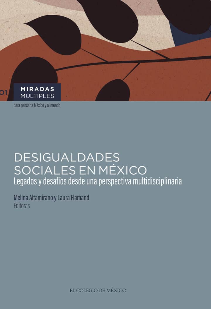 Desigualdades sociales en México.: Legados y desafíos desde una perspectiva multidisciplinaria