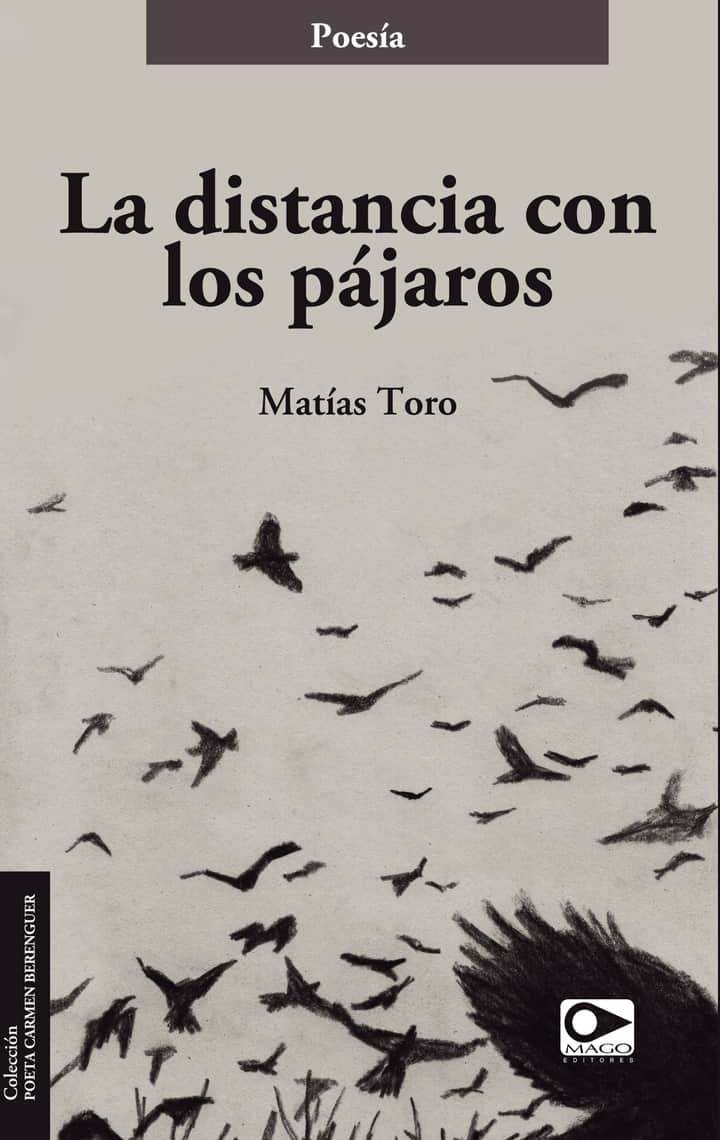 La distancia con los pájaros