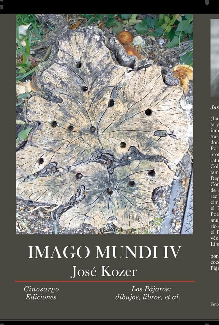 Imago Mundi IV