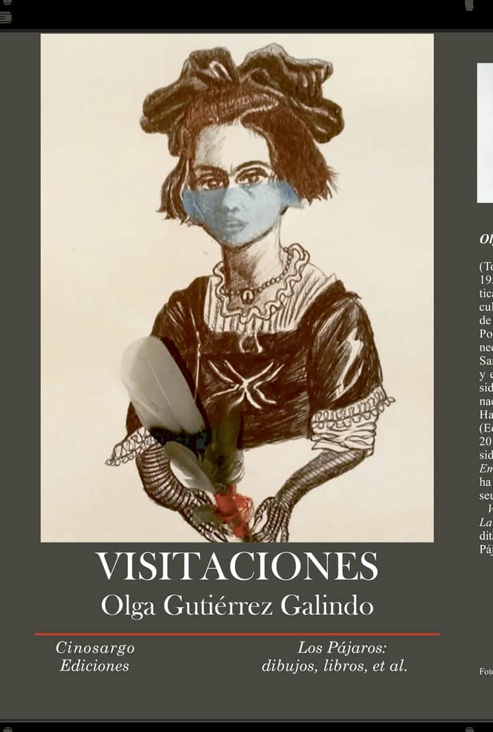 Visitaciones