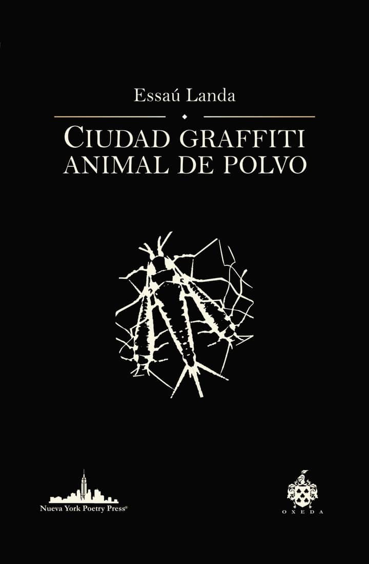 Ciudad graffiti animal de polvo