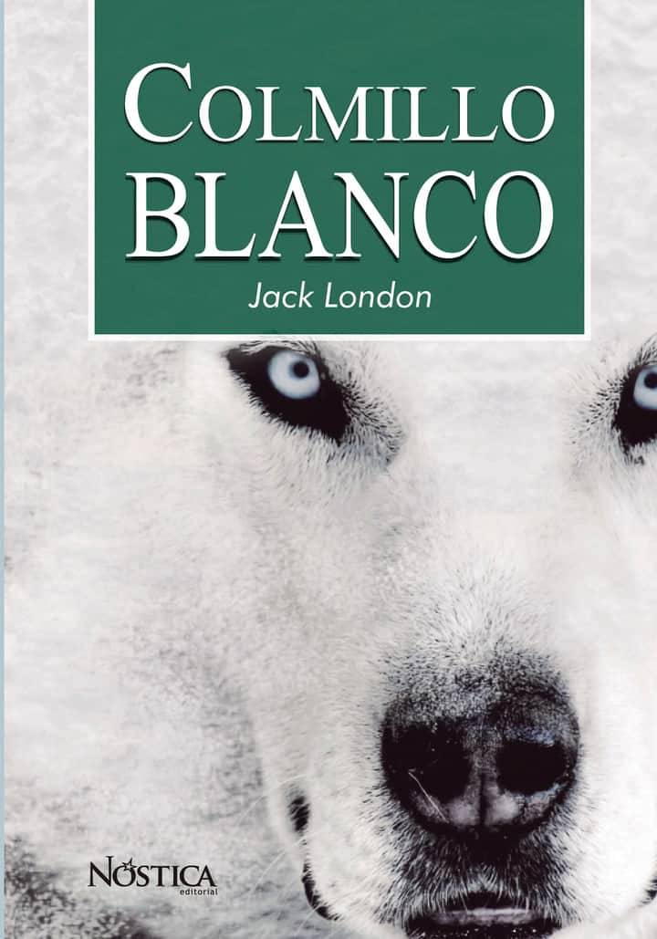 Colmillo blanco