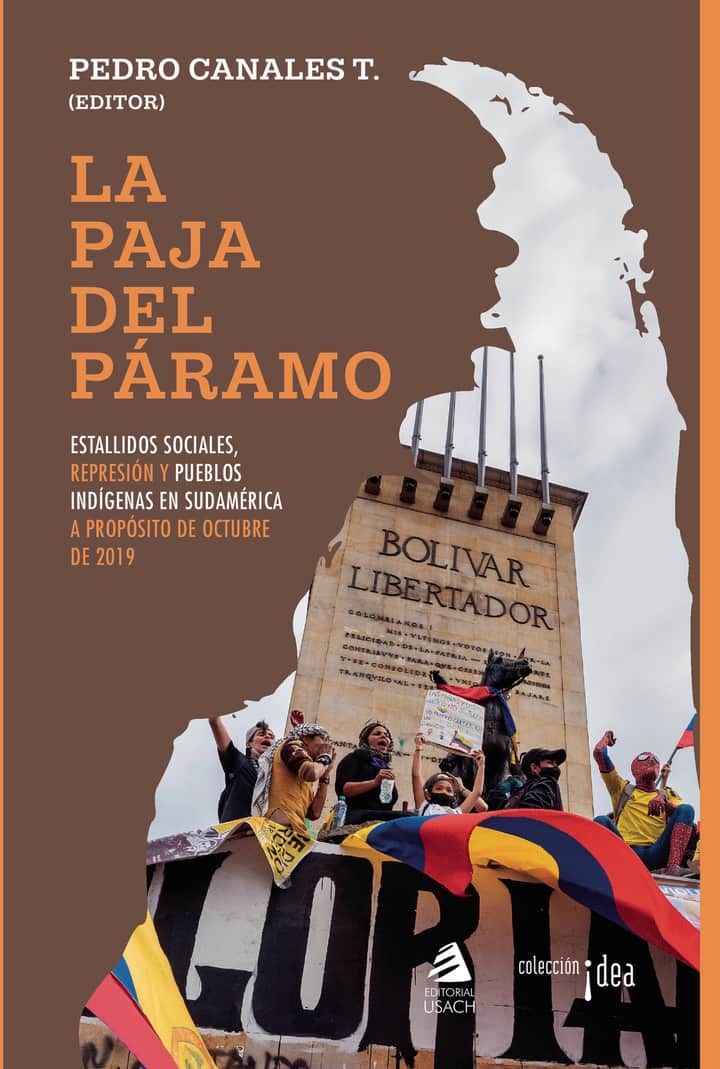 La paja del páramo